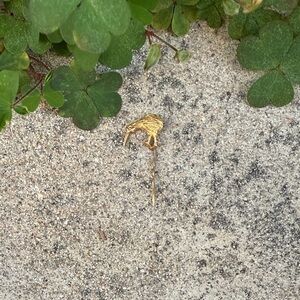 Vintage Gold Kiwi Bird Tie or Scarf Pin